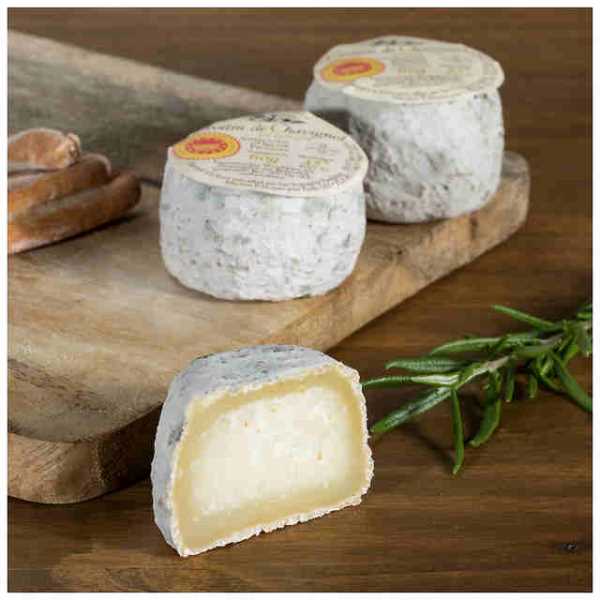 crottin de chavignol