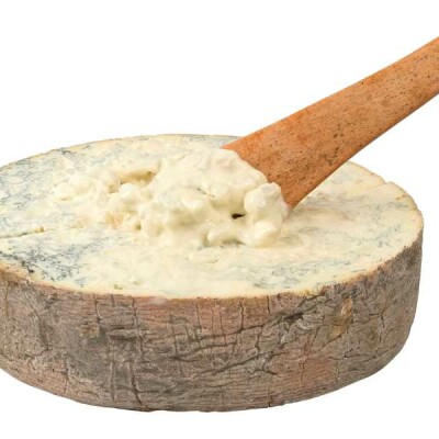 gorgonzola