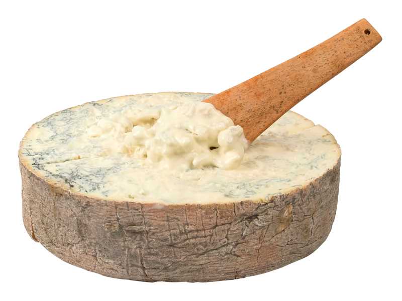 gorgonzola